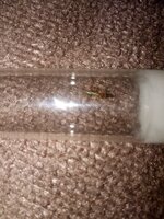 IMG_20200820_213325.jpg