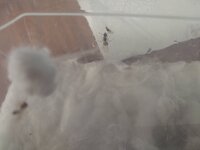 IMG_20200825_065900.jpg