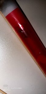20200828_230158.jpg