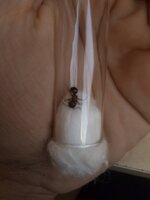 IMG_20200913_152638.jpg