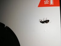 IMG_20200808_195610.jpg