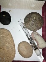 IMG_20200917_181910.jpg
