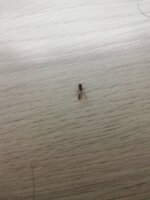 IMG_20200923_213921.jpg