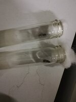 IMG_20200924_202059.jpg
