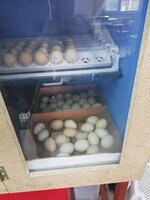 IMG_20200108_100713.jpg