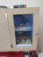 IMG_20200108_100722.jpg