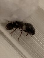 012079FD-71B3-421C-83BE-D4116749E3E3.jpeg