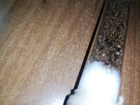 IMG_20201001_213525.jpg