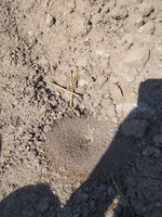 IMG_20201003_132145.jpg