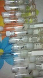 20201005_061129.jpg