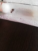 IMG_20200925_185050.jpg