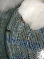 IMG_20201006_085845.jpg