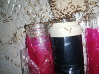 IMG_20200930_222728.jpg