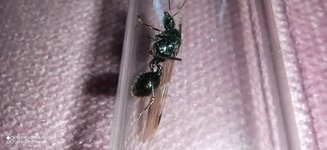IMG_20201009_114001.jpg