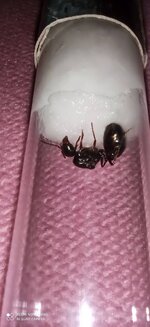 IMG_20201009_124308.jpg
