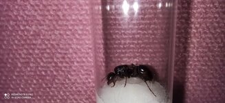 IMG_20201009_124413.jpg