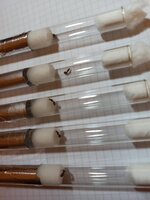 IMG_20201013_224410.jpg