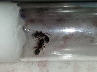 IMG_20201014_190112.jpg