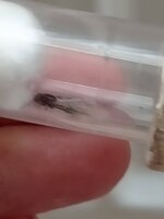 IMG20201025115051.jpg