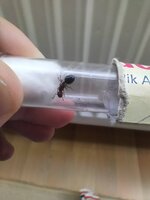 IMG20201025115032.jpg