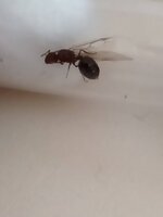 IMG20201025115010.jpg