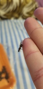 20201025_214704.jpg