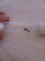 IMG_20201026_170122.jpg