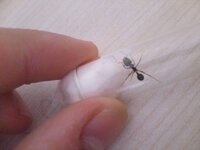 IMG_20201026_170142.jpg