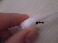 IMG_20201026_170137.jpg