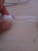 IMG_20201026_170106.jpg