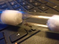 20201027_005005.jpg