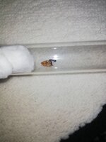 IMG_20201027_202428.jpg