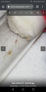 Screenshot_20201027-202741.jpg