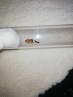 IMG_20201027_202424.jpg