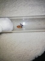 IMG_20201027_202427.jpg
