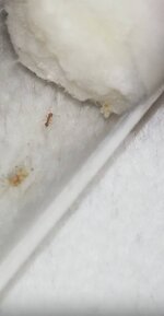 IMG_20201027_202752.jpg