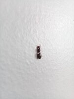 20201015_091842.jpg