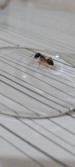 20201030_192333.jpg