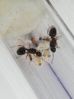 IMG_20201103_135951.jpg