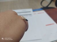 IMG_20201106_082743.jpg