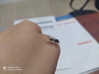 IMG_20201106_082736.jpg
