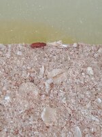 IMG20201107155231.jpg