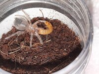 20201108_224106.jpg