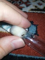 IMG_20201112_211018.jpg