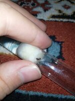 IMG_20201112_211020.jpg