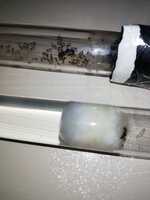 IMG_20201112_211057.jpg