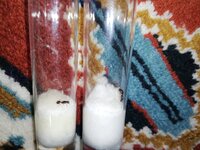 IMG_20201112_211126.jpg