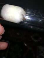 IMG_20201112_212249.jpg