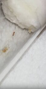 IMG_20201027_202752.jpg