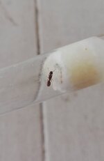 IMG_20201113_171619.jpg